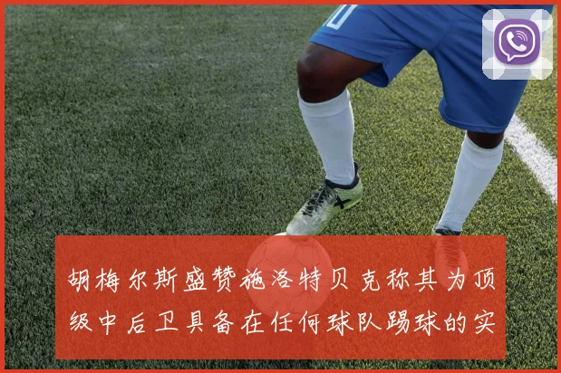 胡梅尔斯盛赞施洛特贝克称其为顶级中后卫具备在任何球队踢球的实力