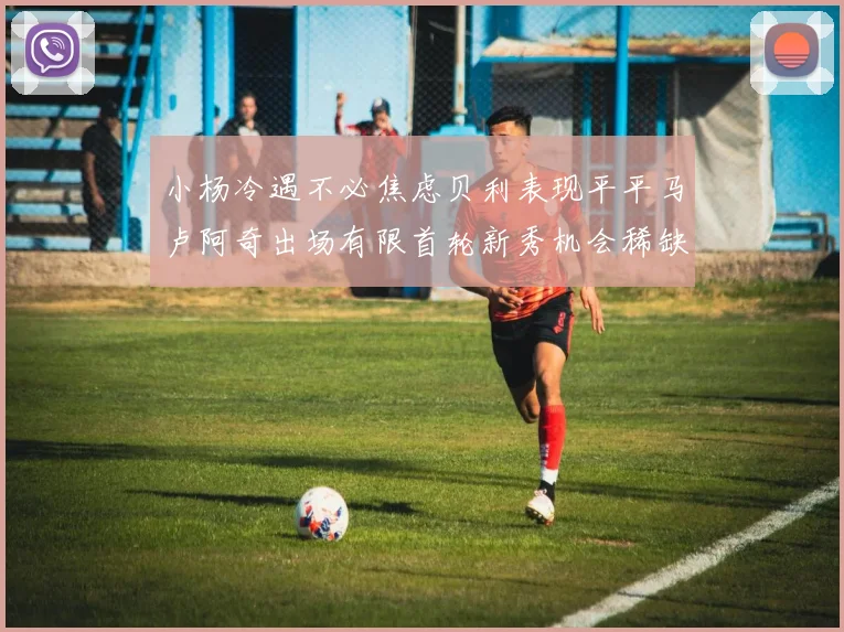 小杨冷遇不必焦虑贝利表现平平马卢阿奇出场有限首轮新秀机会稀缺