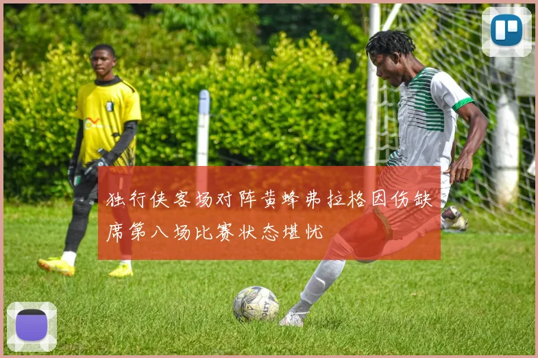 独行侠客场对阵黄蜂弗拉格因伤缺席第八场比赛状态堪忧